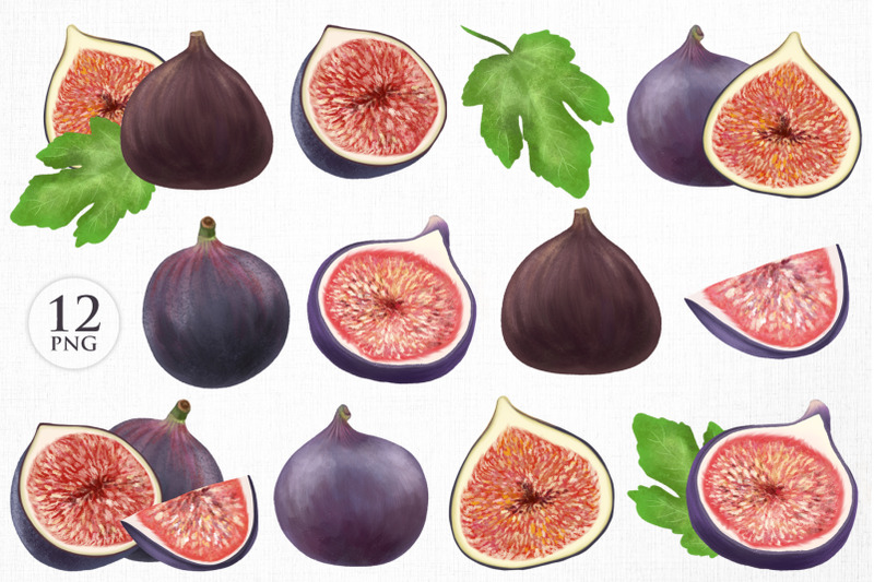 figs-graphic-clipart