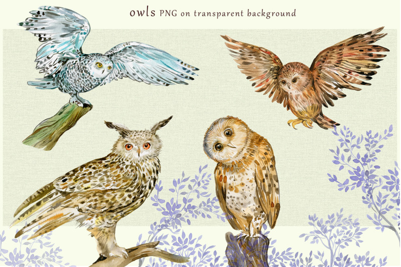 owls-watercolor-clipart-illustration