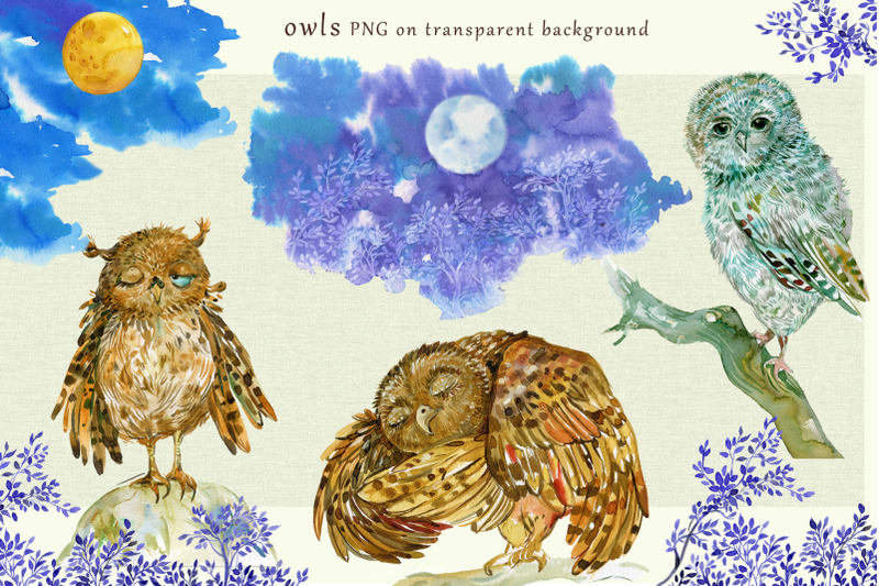 owls-watercolor-clipart-illustration