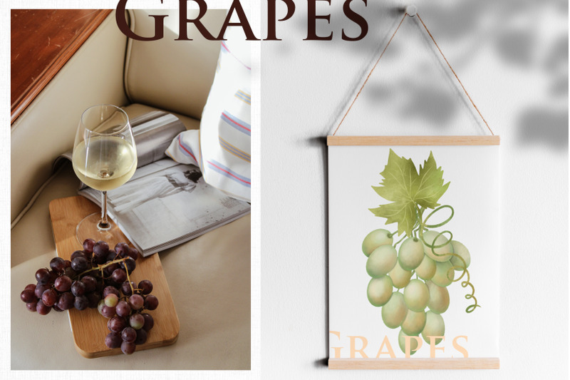 grapes-and-leaves-clipart