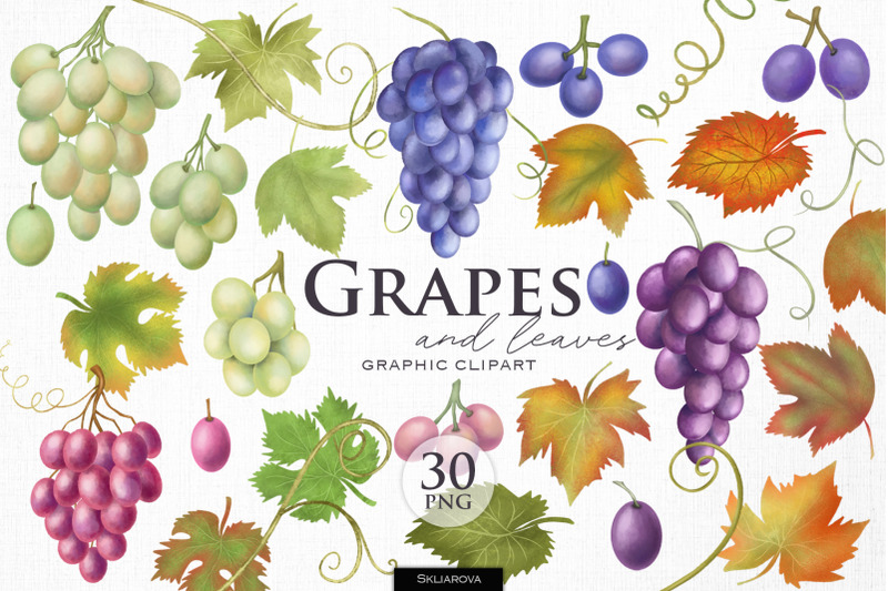 grapes-and-leaves-clipart