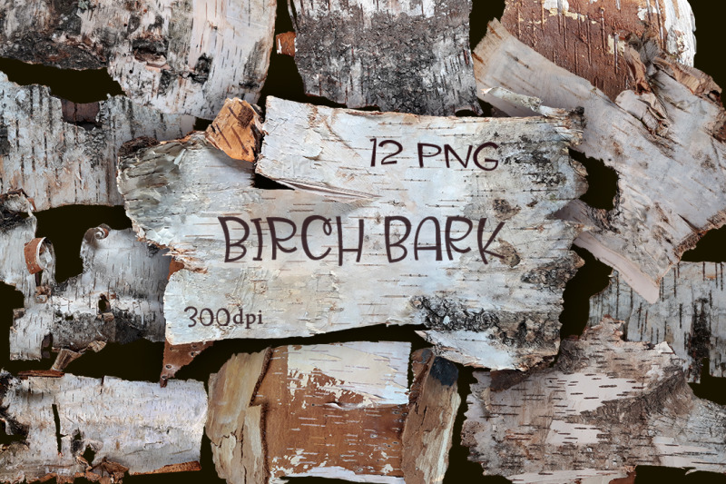 birch-bark-12-isolated-png-elements