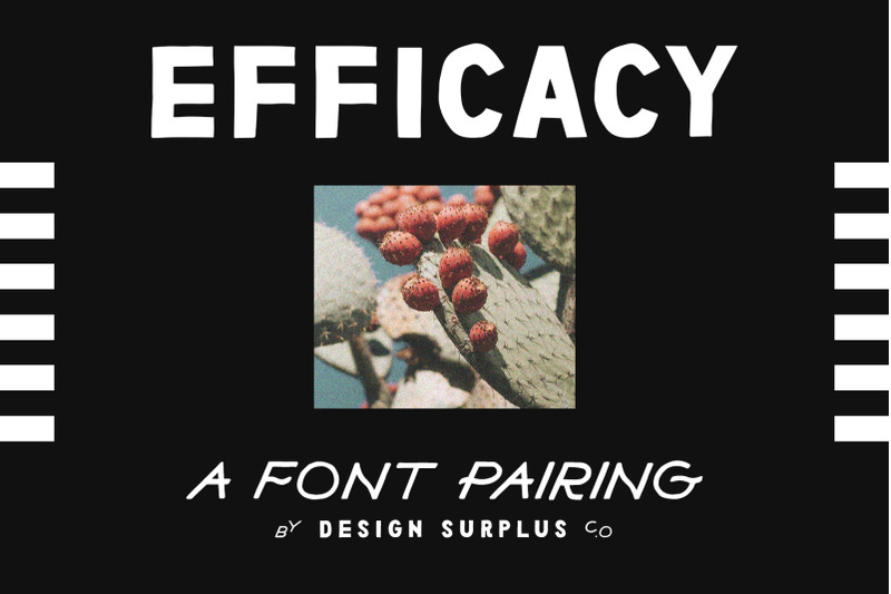efficacy-font-pairing-bonus-logos