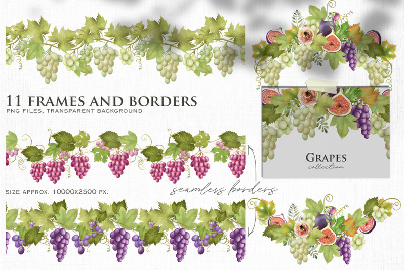 grape-frames-and-borders