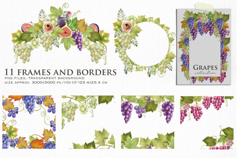 grape-frames-and-borders