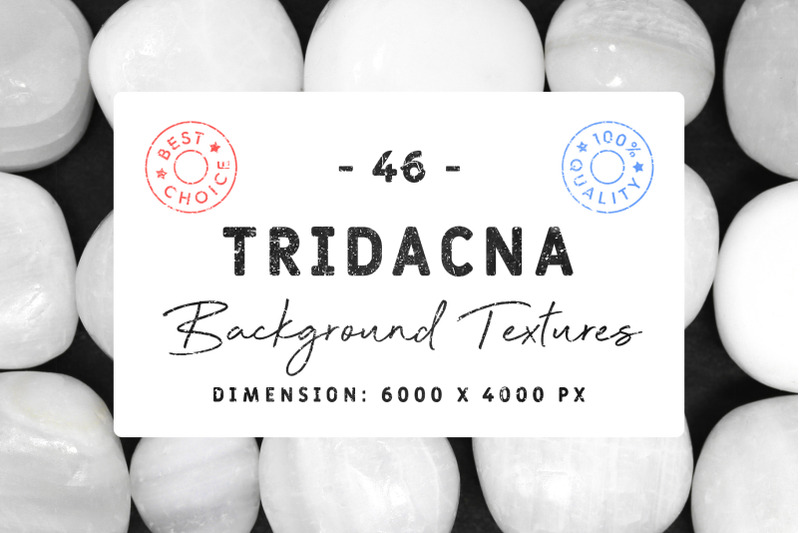 46-tridacna-background-textures