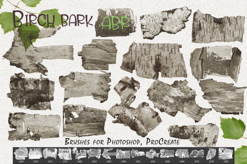 birch-bark-brushes-for-photoshop-procreate-abr