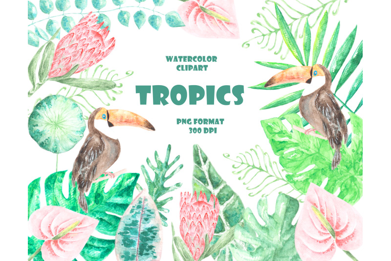 tropics-watercolor-clipart-tropical-greenery-palm-leaves-monstera