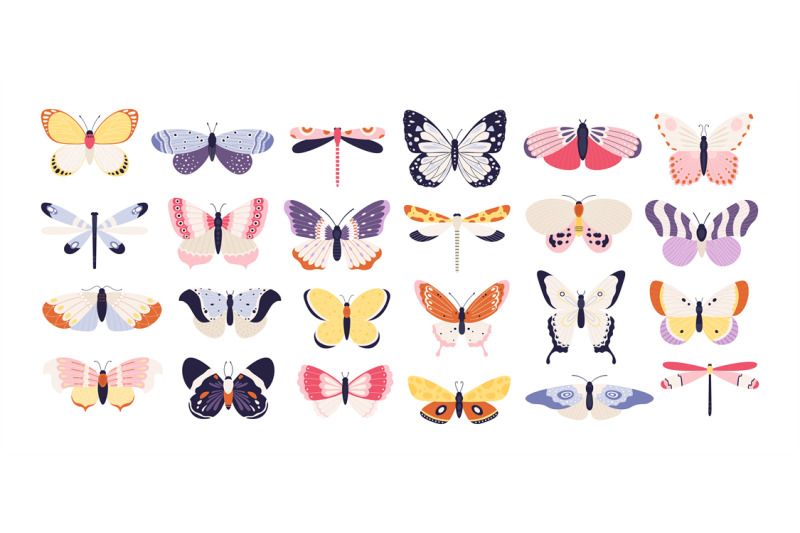 cute-butterflies-decorative-spring-butterfly-colorful-wings-monarch