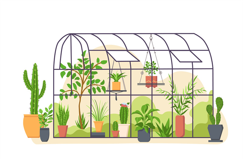 garden-greenhouse-glass-botanical-orangery-house-with-cactus-and-trop