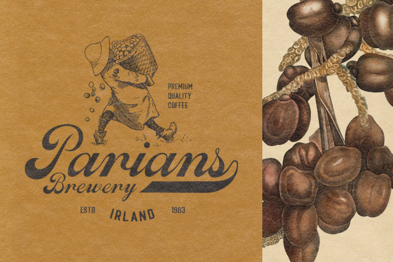 wanlaners-vintage-script