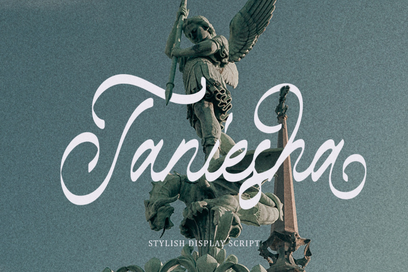 taniesha-stylish-display-script