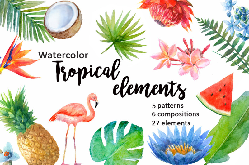 watercolor-tropical-elements