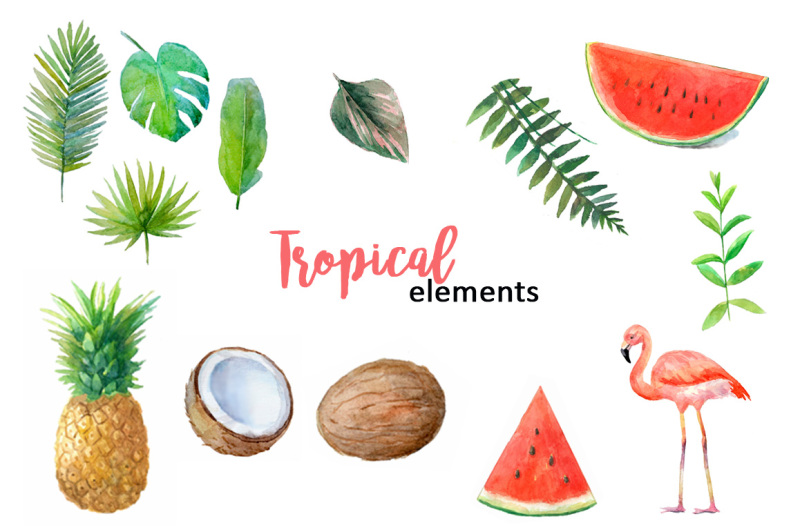 watercolor-tropical-elements