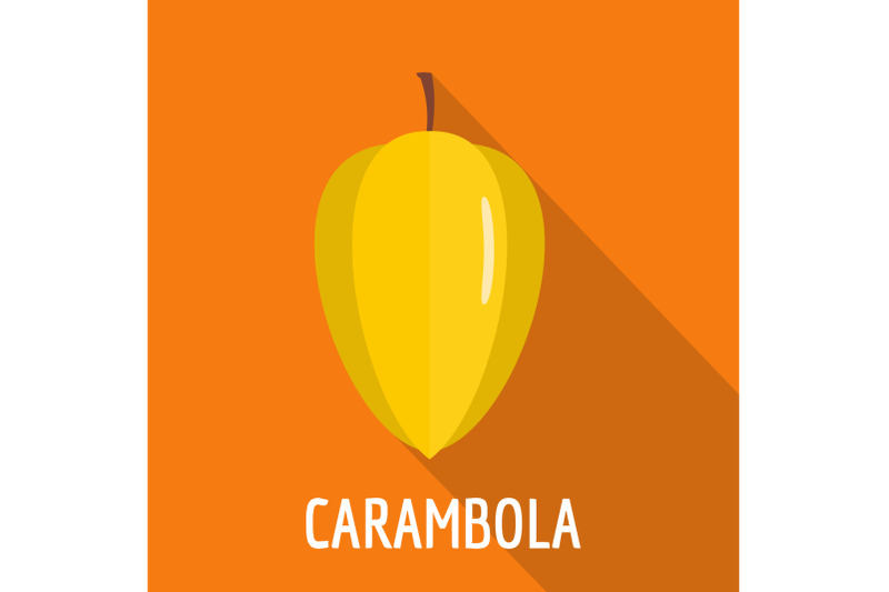 carambola-icon-flat-style