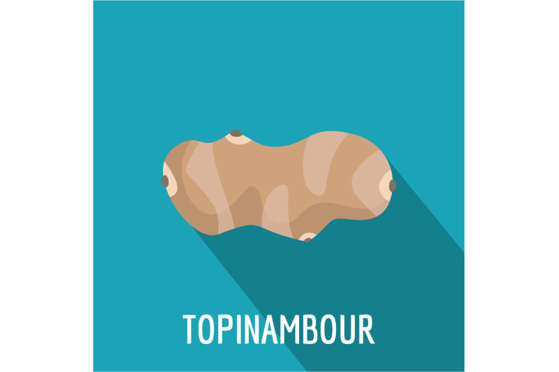 topinambour-icon-flat-style