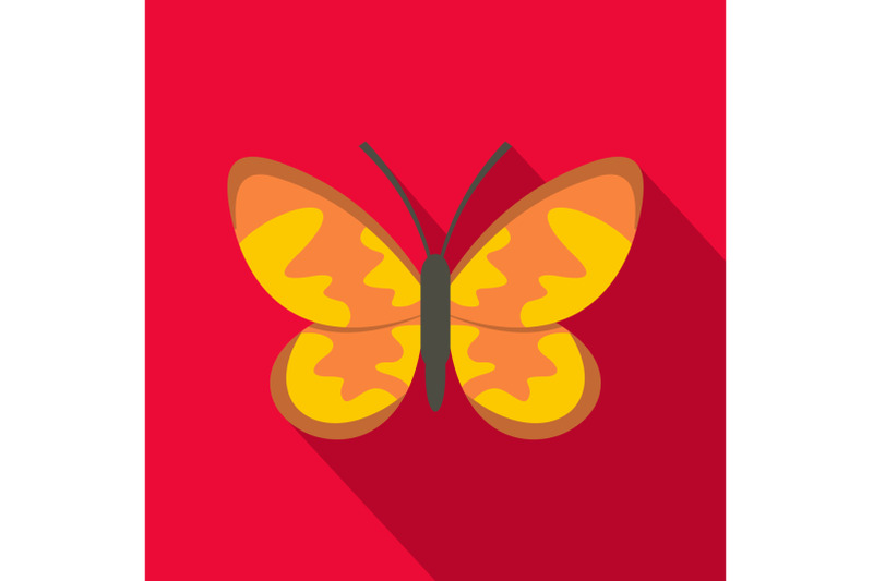 wild-butterfly-icon-flat-style