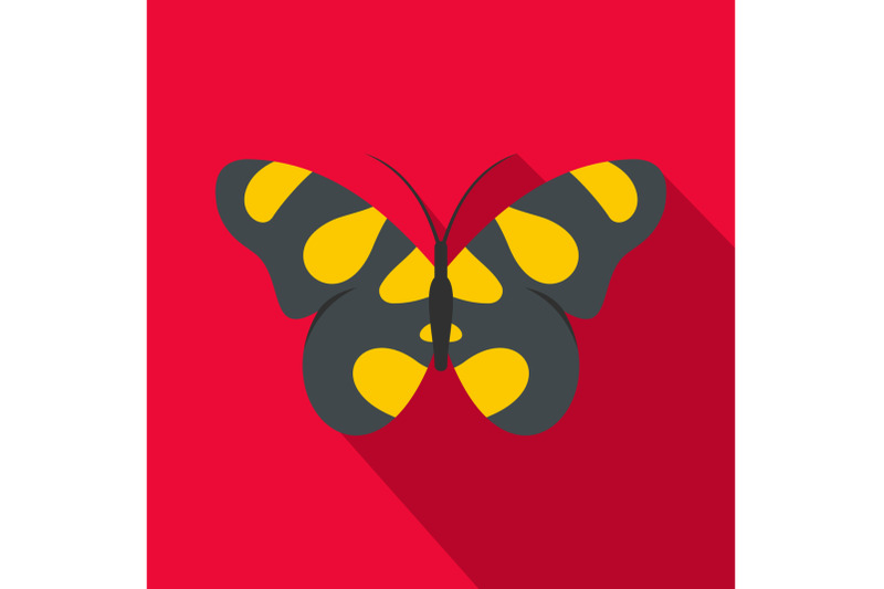 butterfly-in-wildlife-icon-flat-style