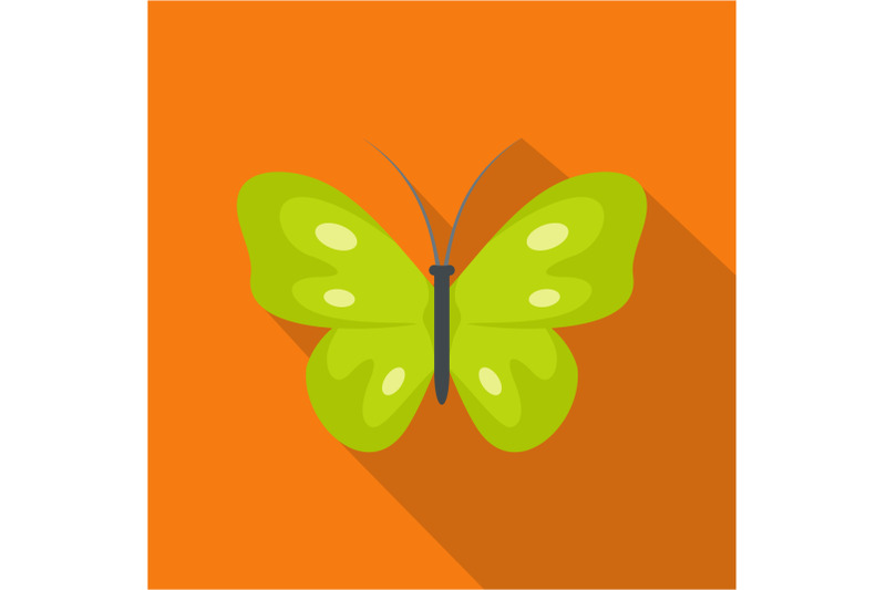 exotic-butterfly-icon-flat-style