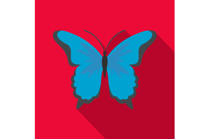 insect-butterfly-icon-flat-style