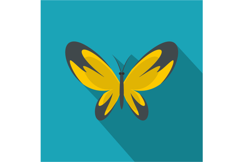 wide-wing-butterfly-icon-flat-style