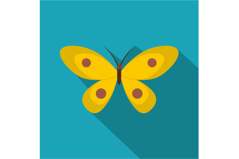 butterfly-with-ornament-icon-flat-style