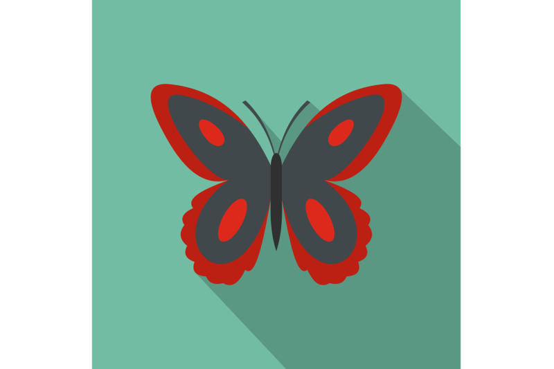 spotted-butterfly-icon-flat-style