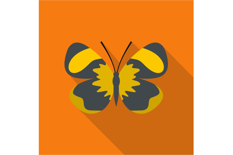 small-butterfly-icon-flat-style