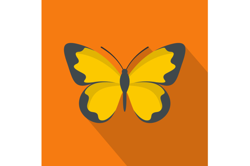 flying-butterfly-icon-flat-style