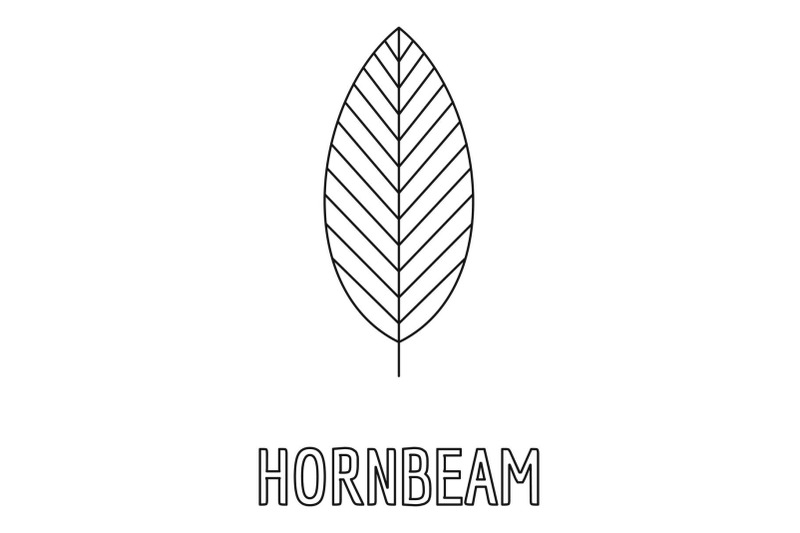 hornbeam-leaf-icon-outline-style