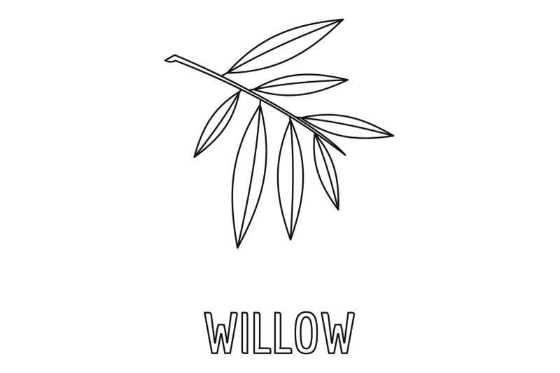 willow-branch-icon-outline-style