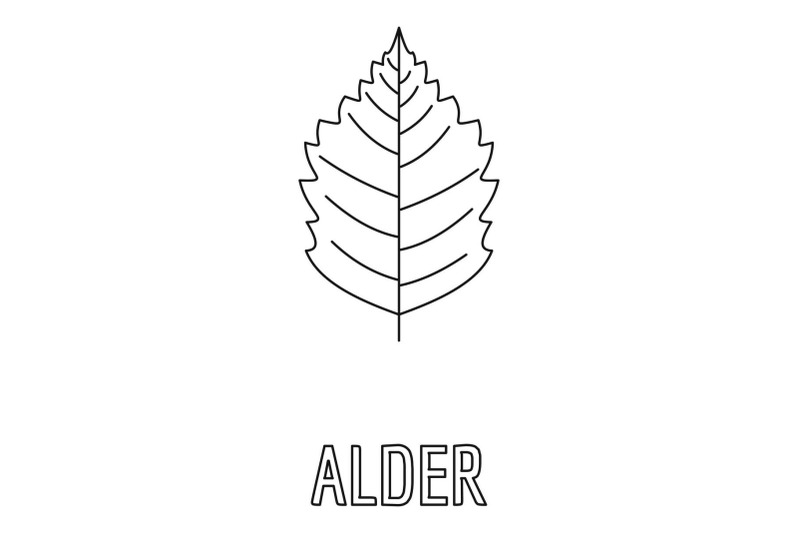 alder-leaf-icon-outline-style