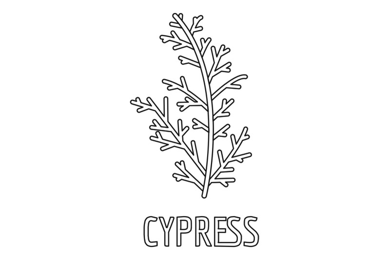 cypress-leaf-icon-outline-style