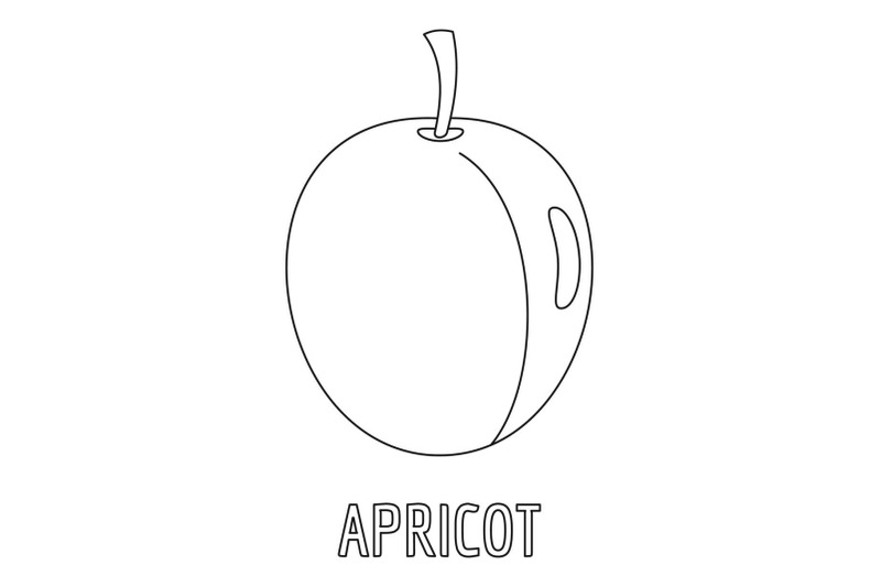 apricot-icon-outline-style