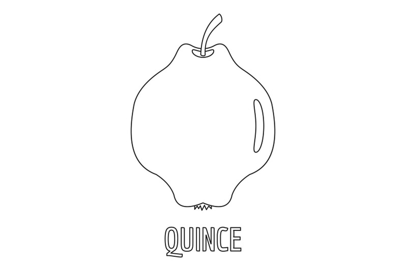 quince-icon-outline-style