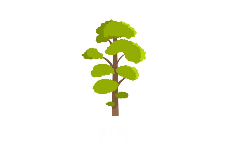 elm-tree-icon-flat-style