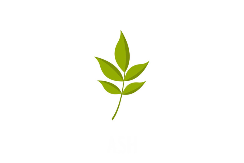 ash-leaf-icon-flat-style