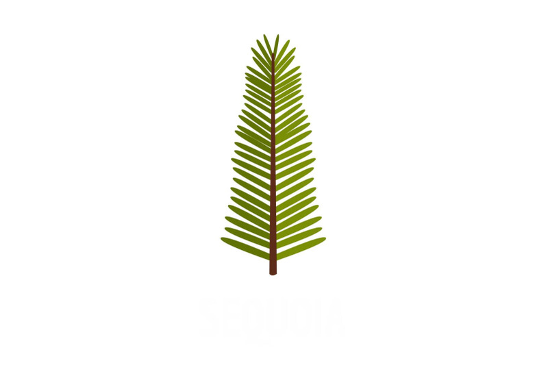 sequoia-leaf-icon-flat-style