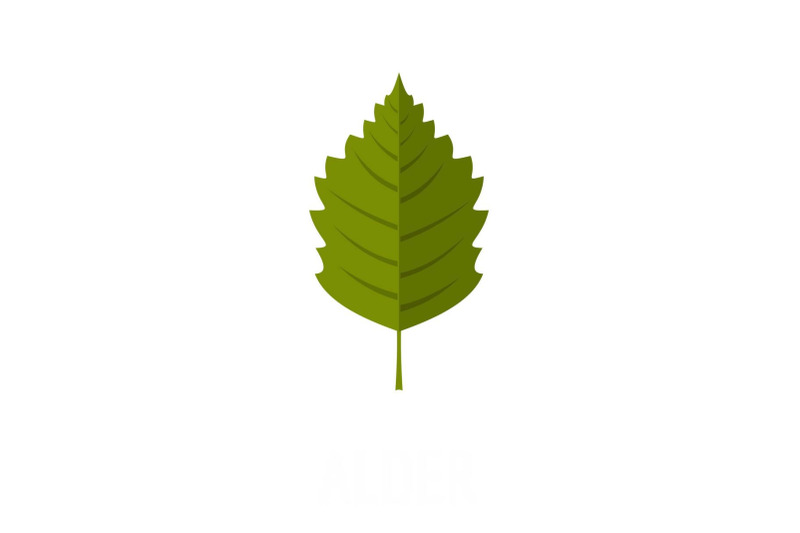 alder-leaf-icon-flat-style