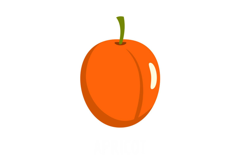 apricot-icon-flat-style