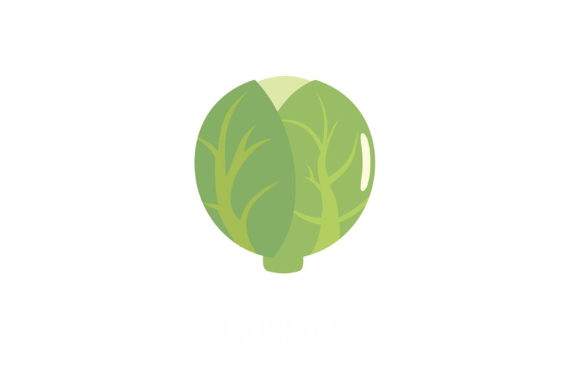 cabbage-icon-flat-style