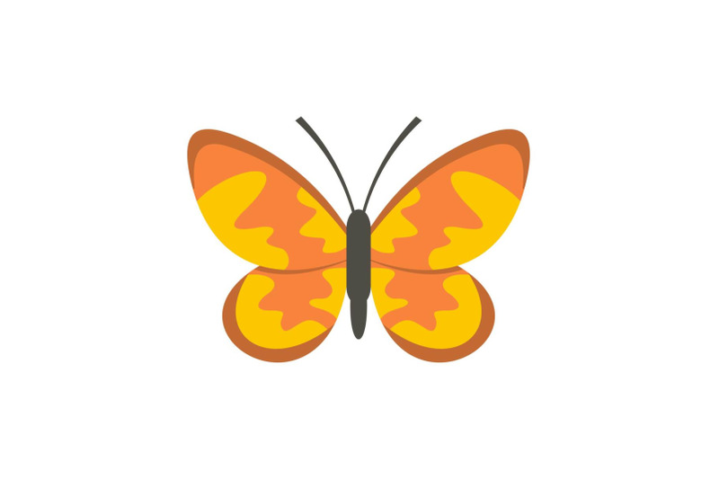 wild-butterfly-icon-flat-style