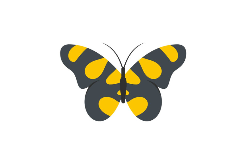 butterfly-in-wildlife-icon-flat-style