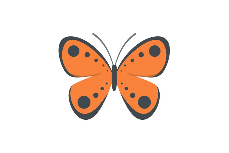 tropical-butterfly-icon-flat-style