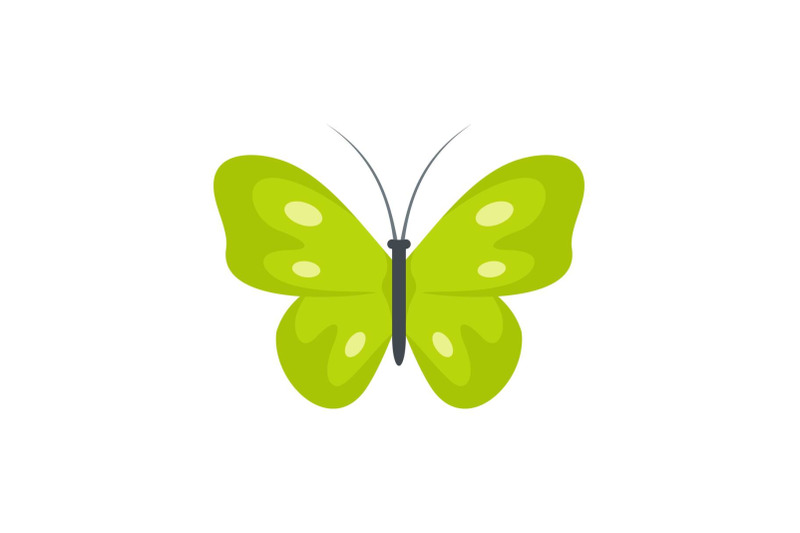 exotic-butterfly-icon-flat-style
