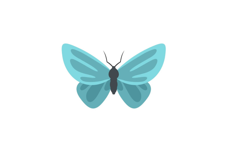 unusual-butterfly-icon-flat-style
