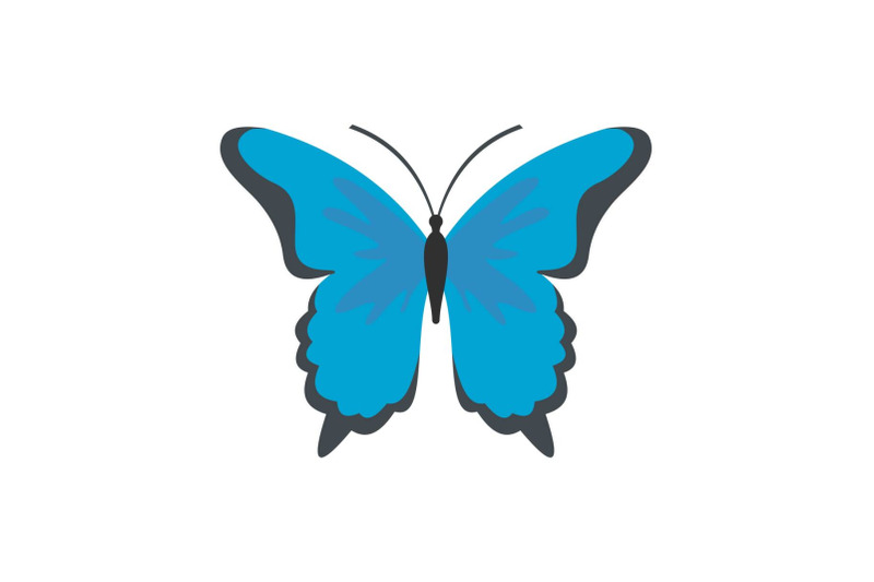 insect-butterfly-icon-flat-style