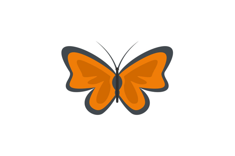 bright-butterfly-icon-flat-style