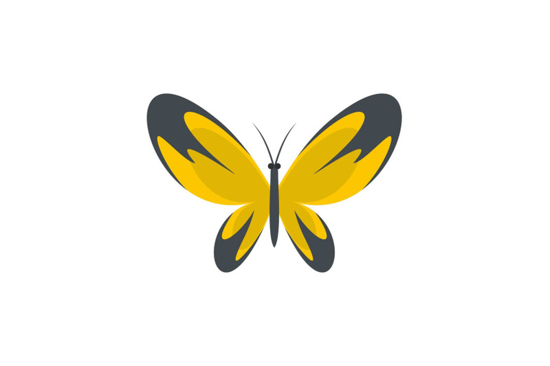 wide-wing-butterfly-icon-flat-style