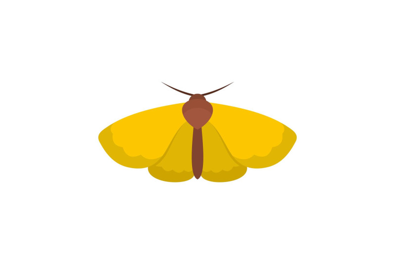 moth-icon-flat-style